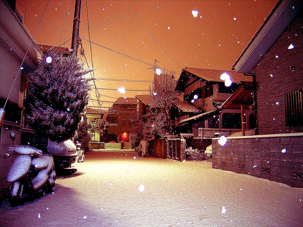 So it's snowing in Tokyo